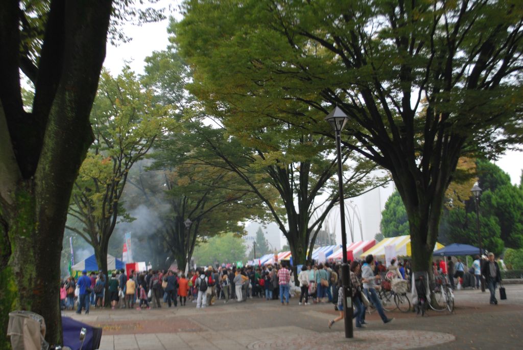 2015101105.jpg