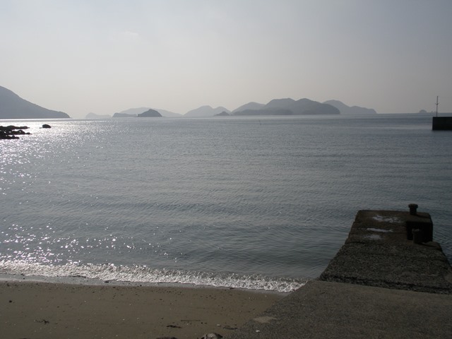 P1132546.JPG