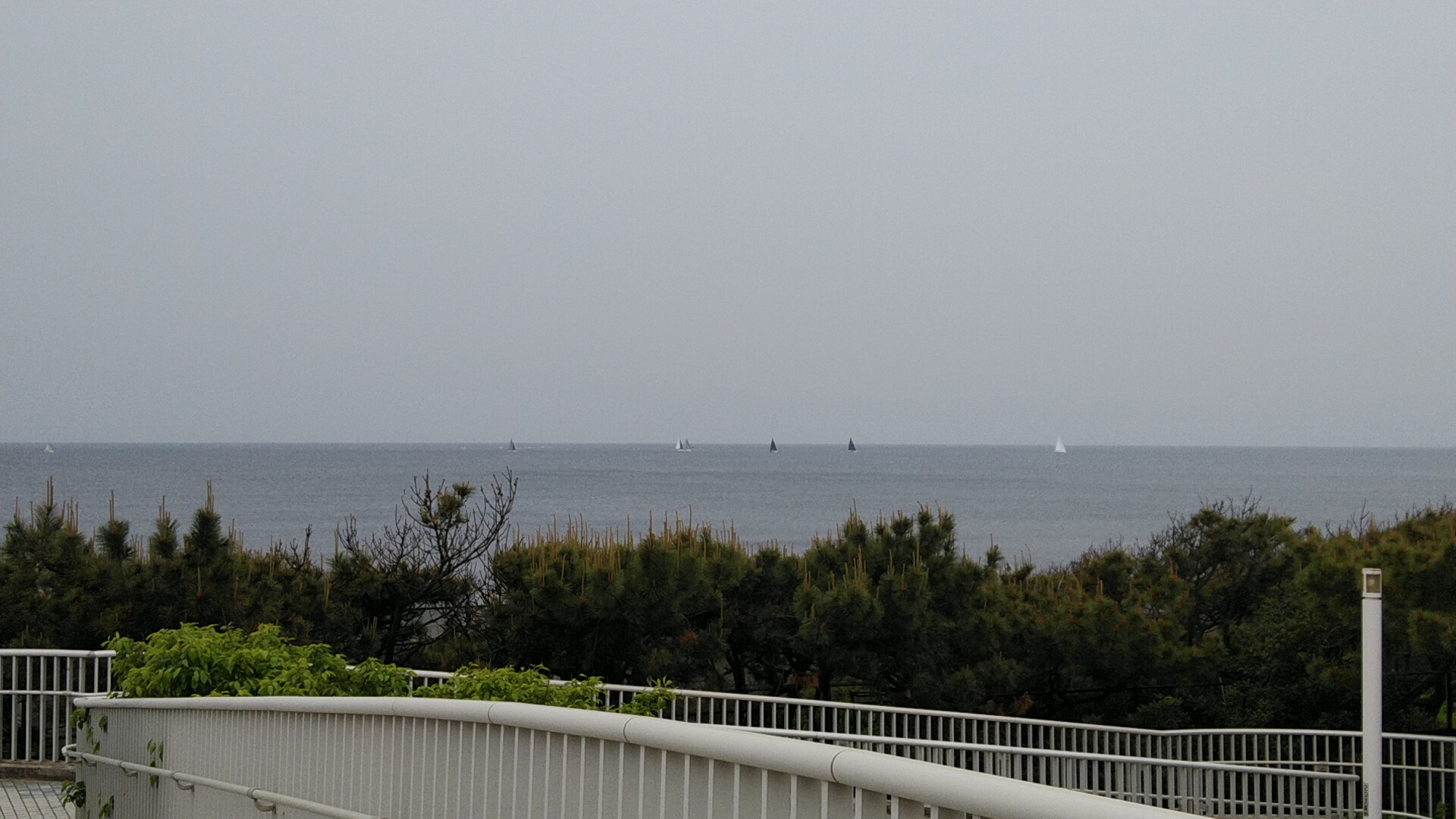 20220424  DSC_0001.jpg