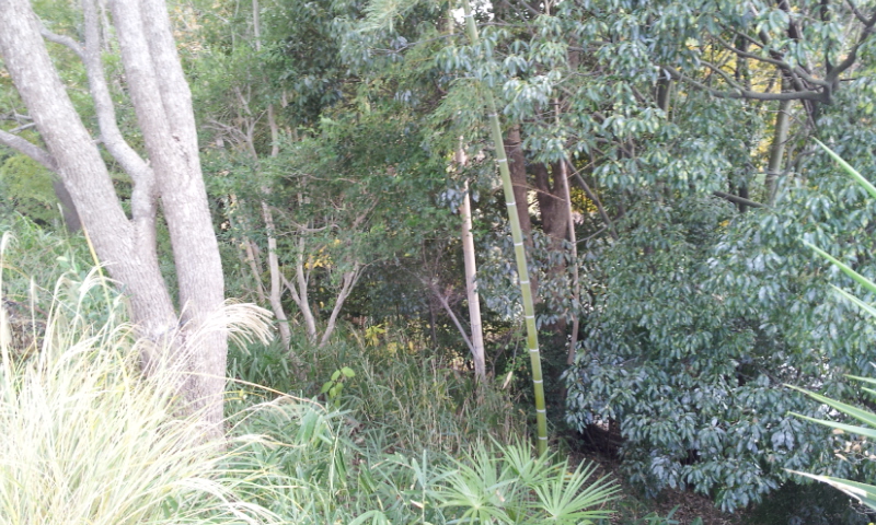 C:\fakepath\2012-12-12 15.15.34[1].jpg