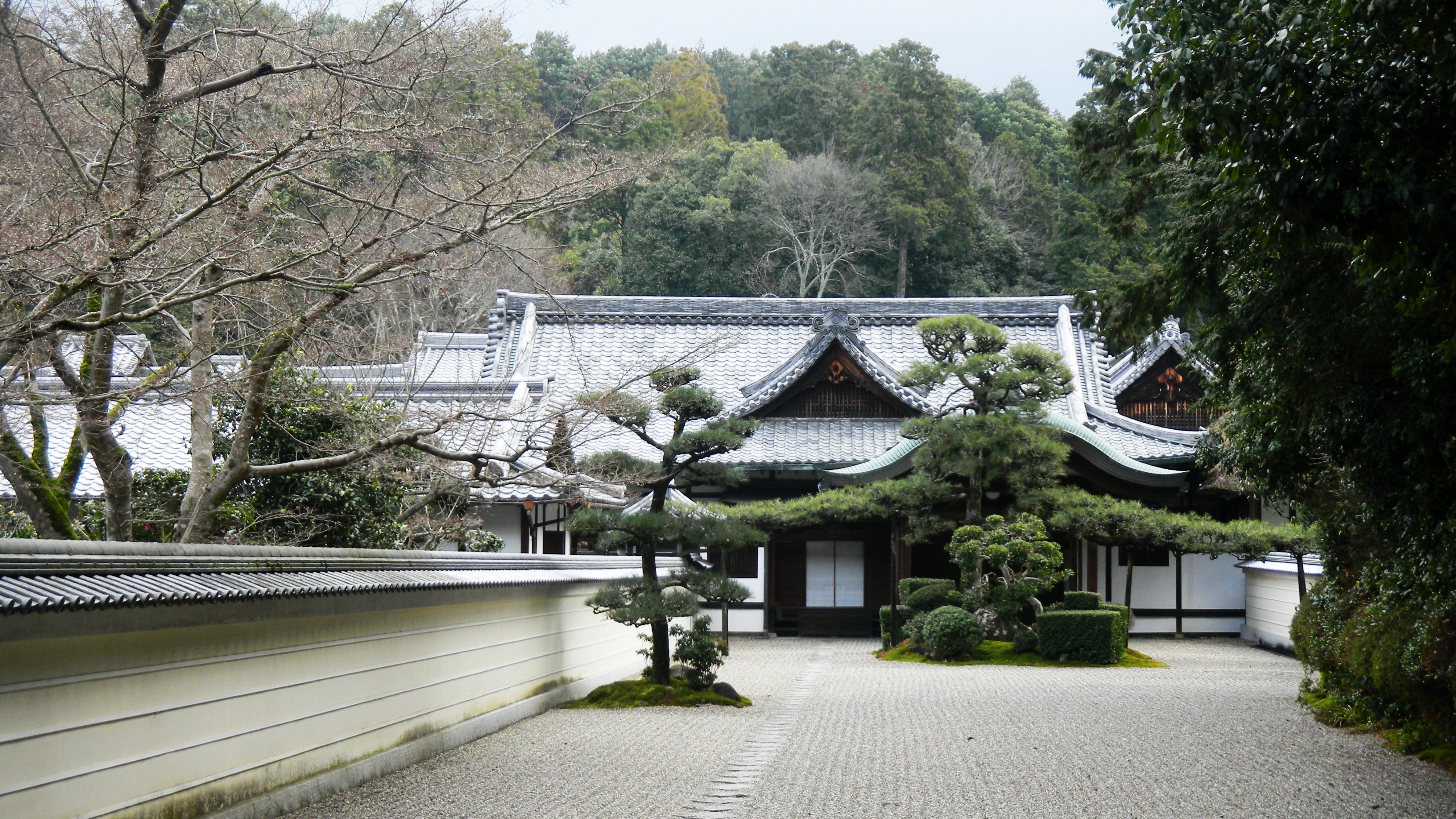 011円照寺.JPG