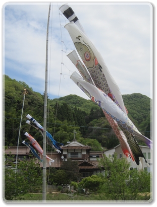 0288鯉のぼり_0288.jpg