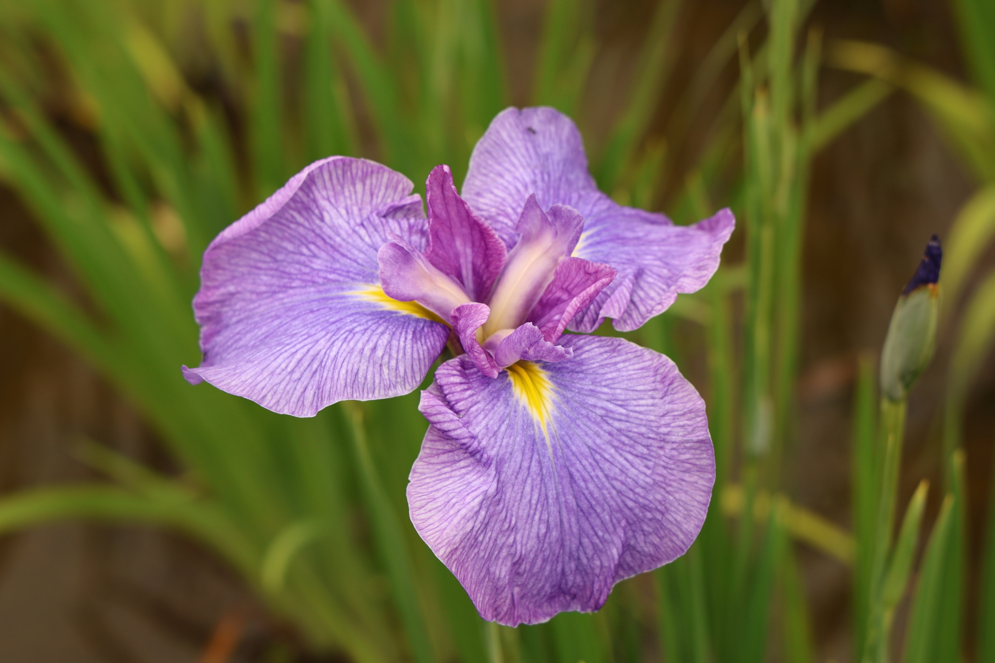 3Q9A8156.JPG