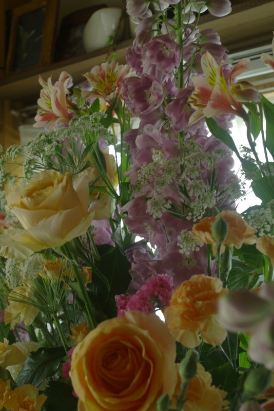 IMGP3487.JPG