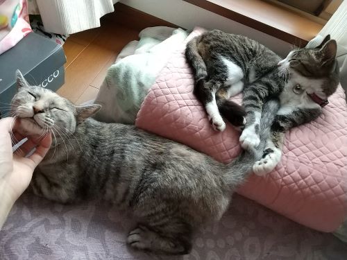 DSC_1807.JPG
