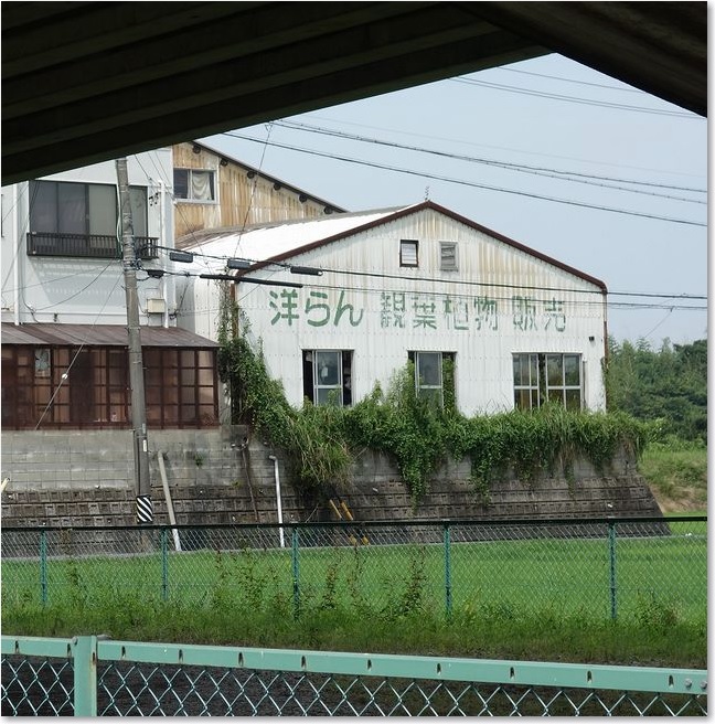 13道路の向こうに