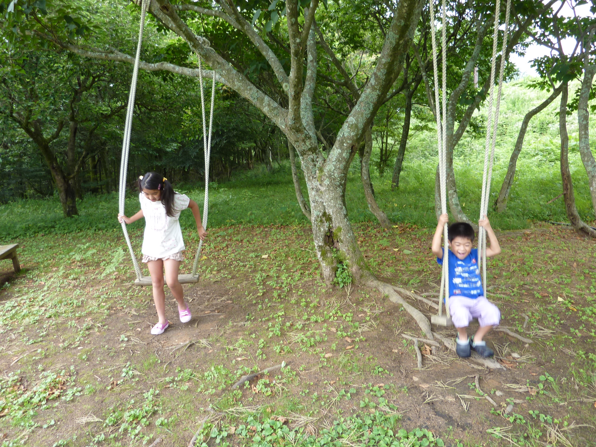P1070143.JPG