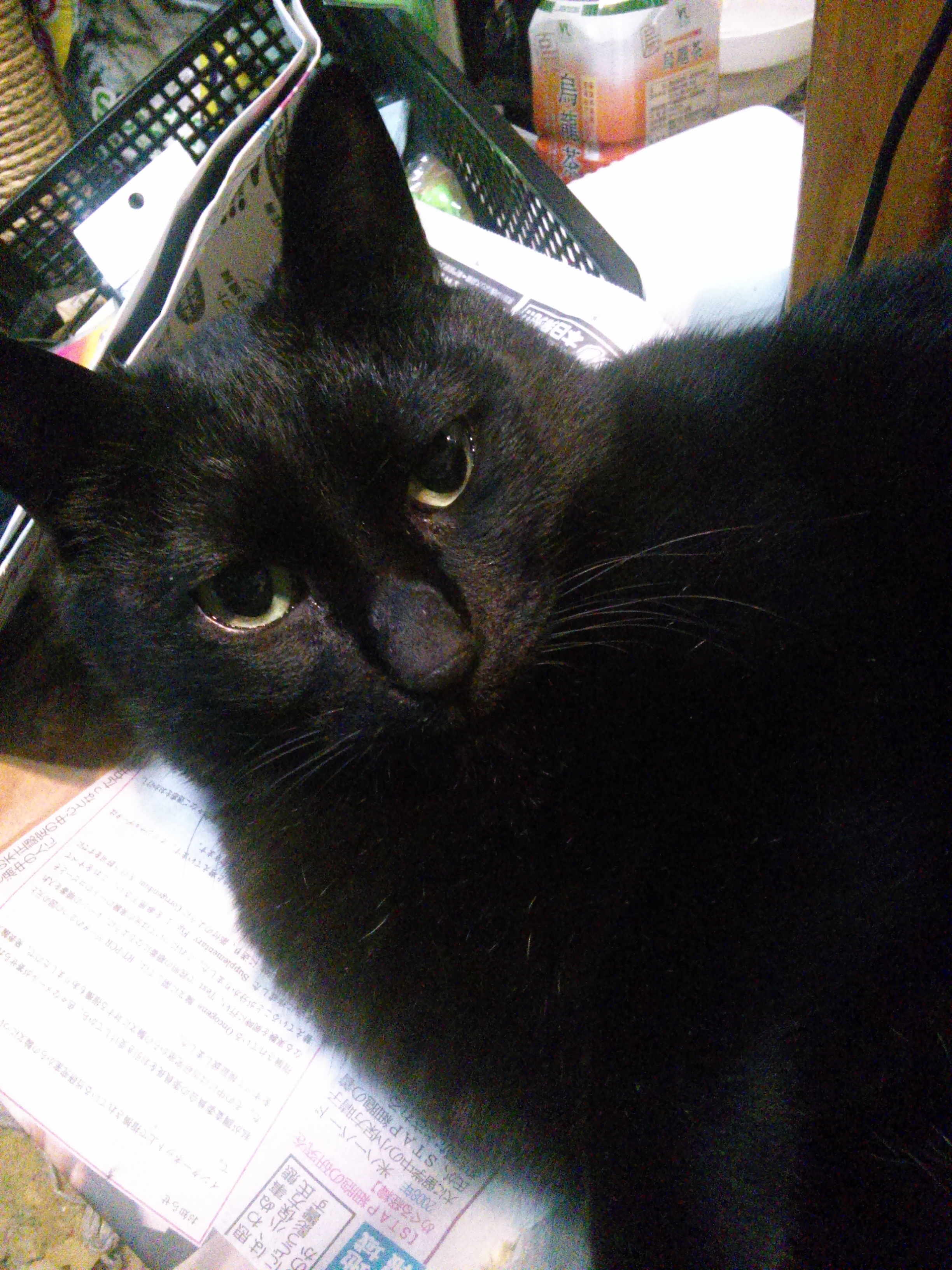 KIMG0463.JPG　上機嫌です。