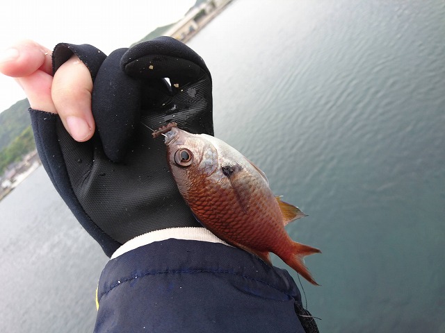 showPhoto (640×480)