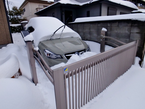 R0050779 (1024x768).jpg