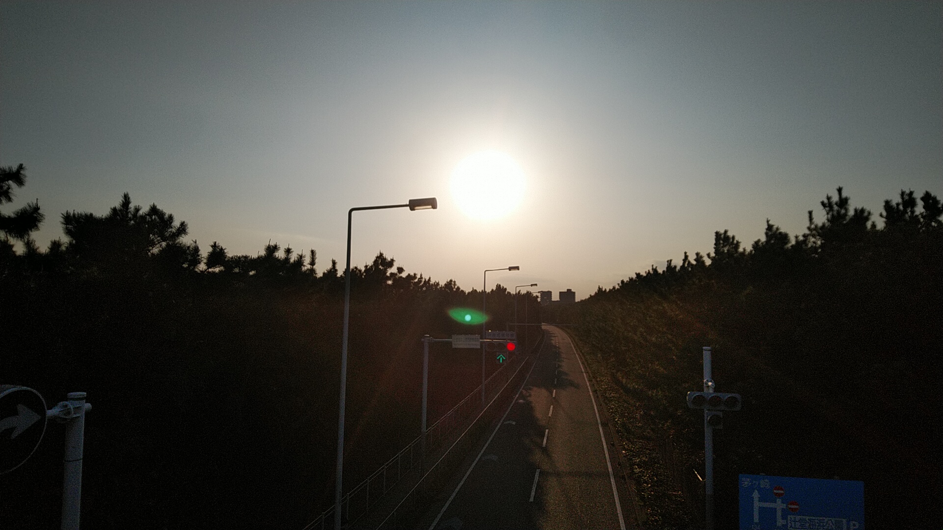 20230403  DSC_0006.jpg