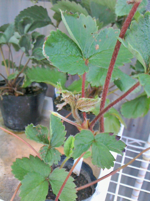 2012072917550001.jpg