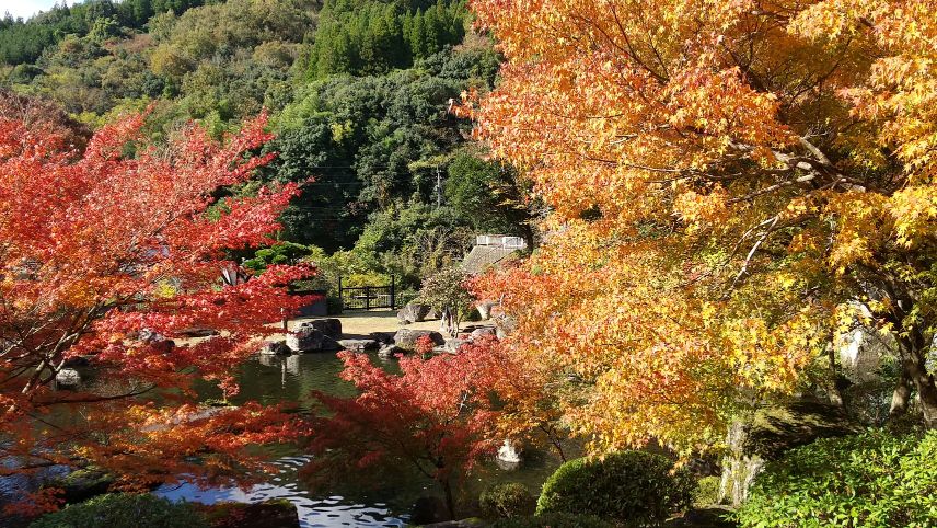 中津ダム渓石園 (8).jpg