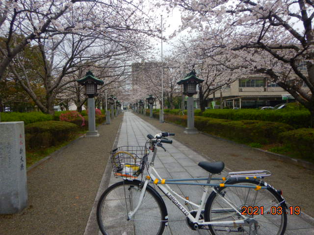 DSCN1954[1].JPG