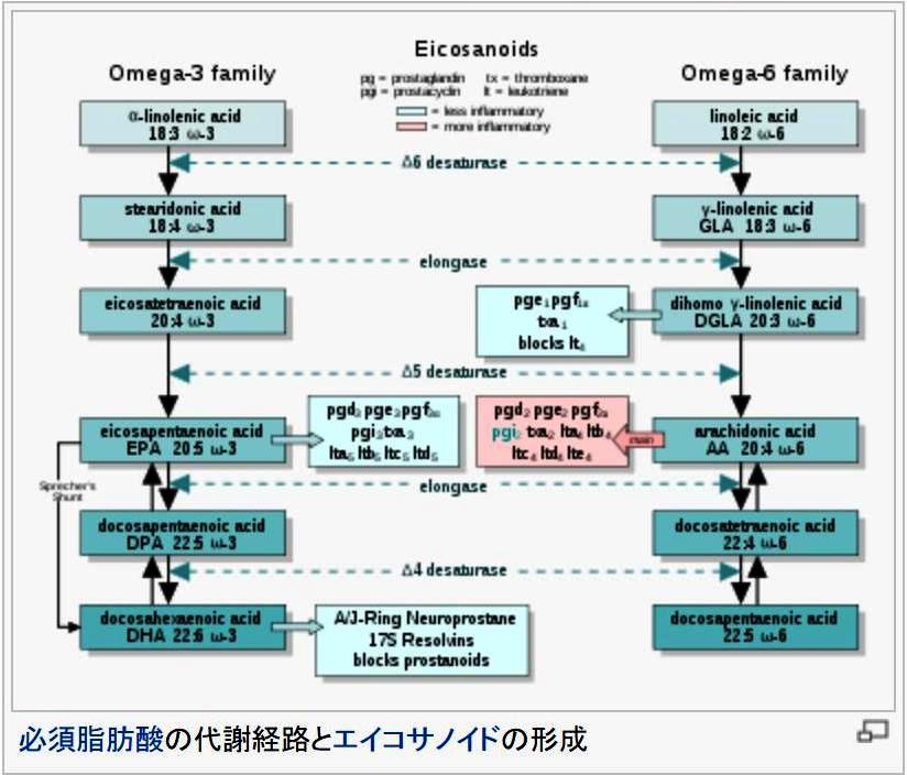 13-5-23-3ＥＰＡ in Wikipedia.jpg