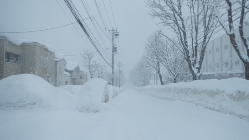 振る雪道 (500x281).jpg