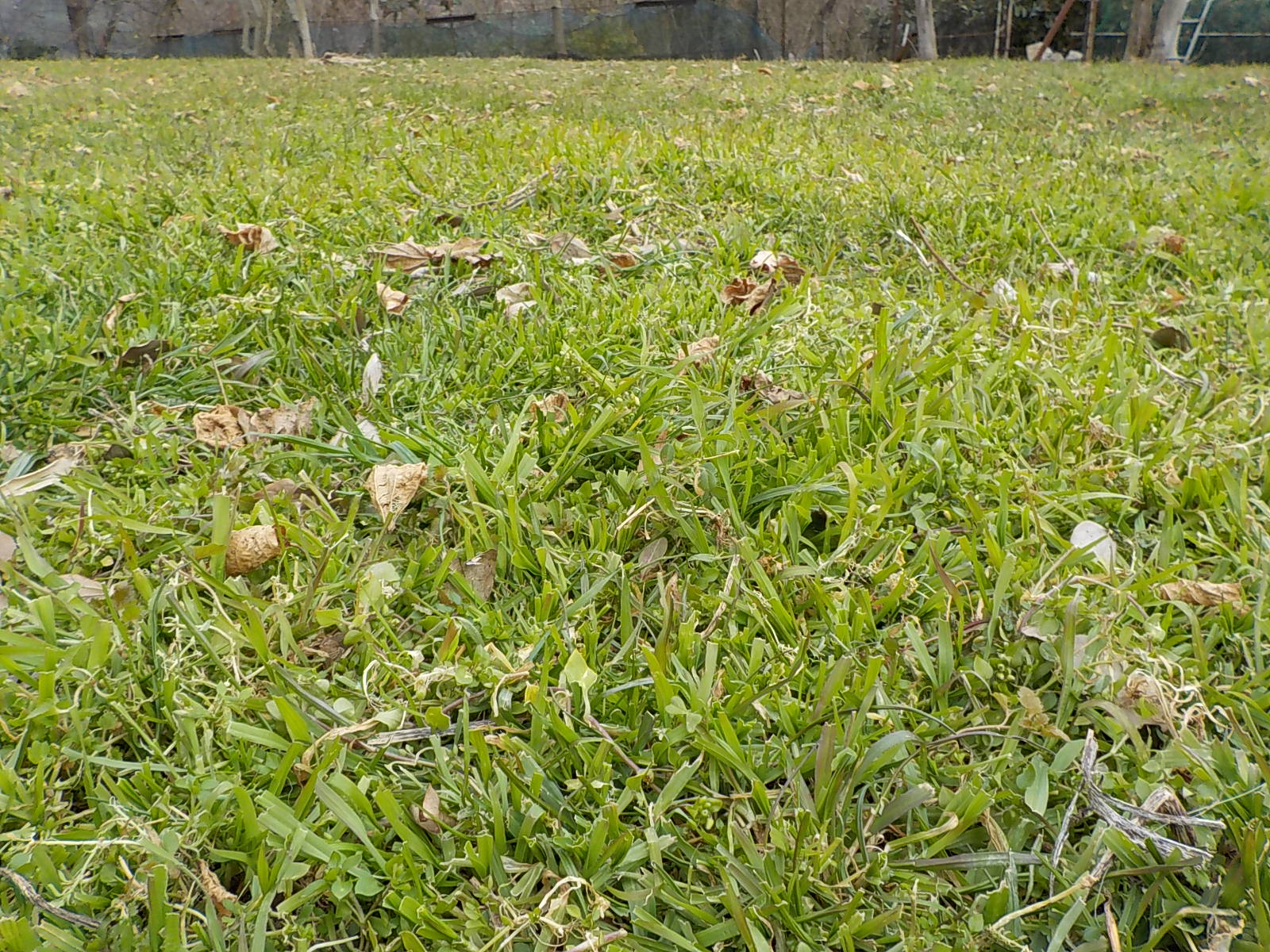 DSCN0719.JPG