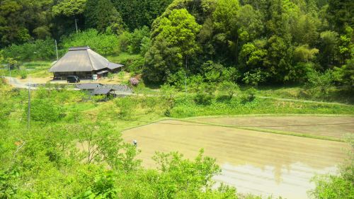 012嘉万への道 (3).JPG