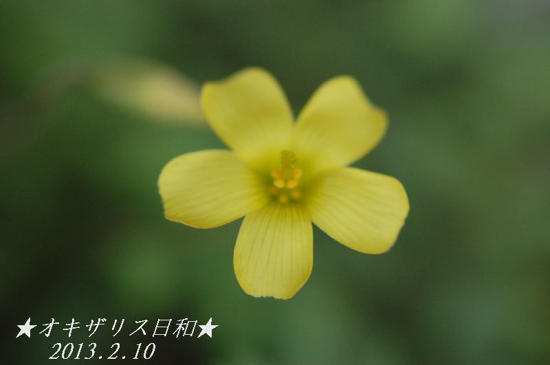 DSC_6367.JPG