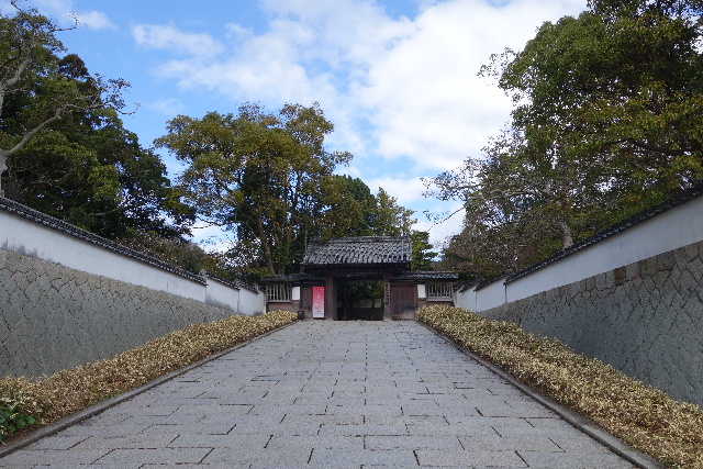 DSC04802.JPG