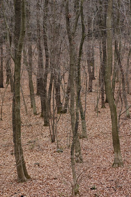 0302-1.jpg