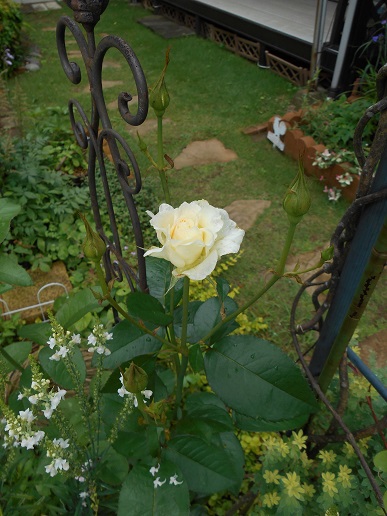 DSCN1301a.JPG