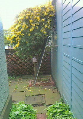DSCF7747.JPG