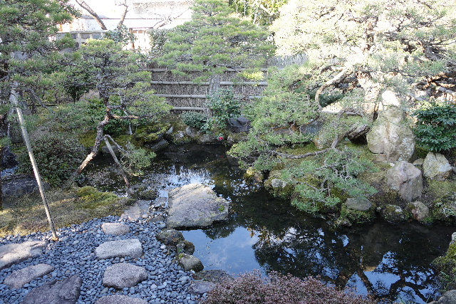 DSC03697.JPG
