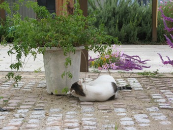 今度はこちらに興味 003.jpg