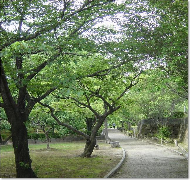 62公園.JPG