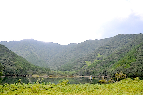 DSC_0101.JPG
