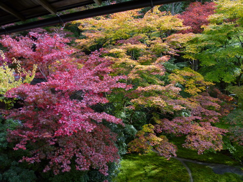 瑠璃光院