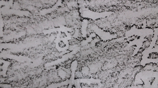 SN3S0639_R.JPG