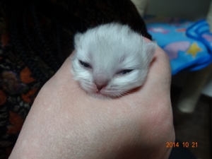 DSC04402 (300x225).jpg