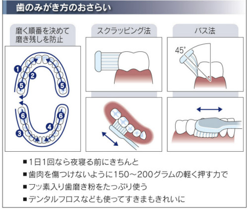 歯の磨き方.jpg