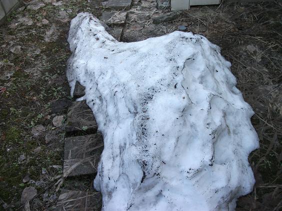 C:\fakepath\130412残雪.jpg