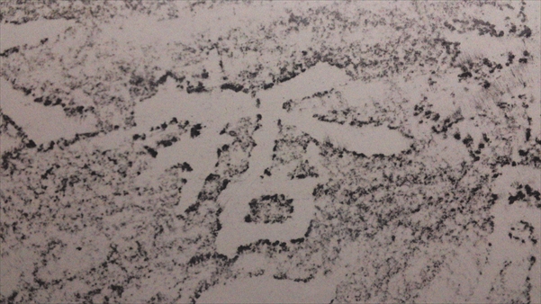 SN3S0637_R.JPG