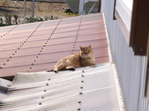 もっとズームしたい