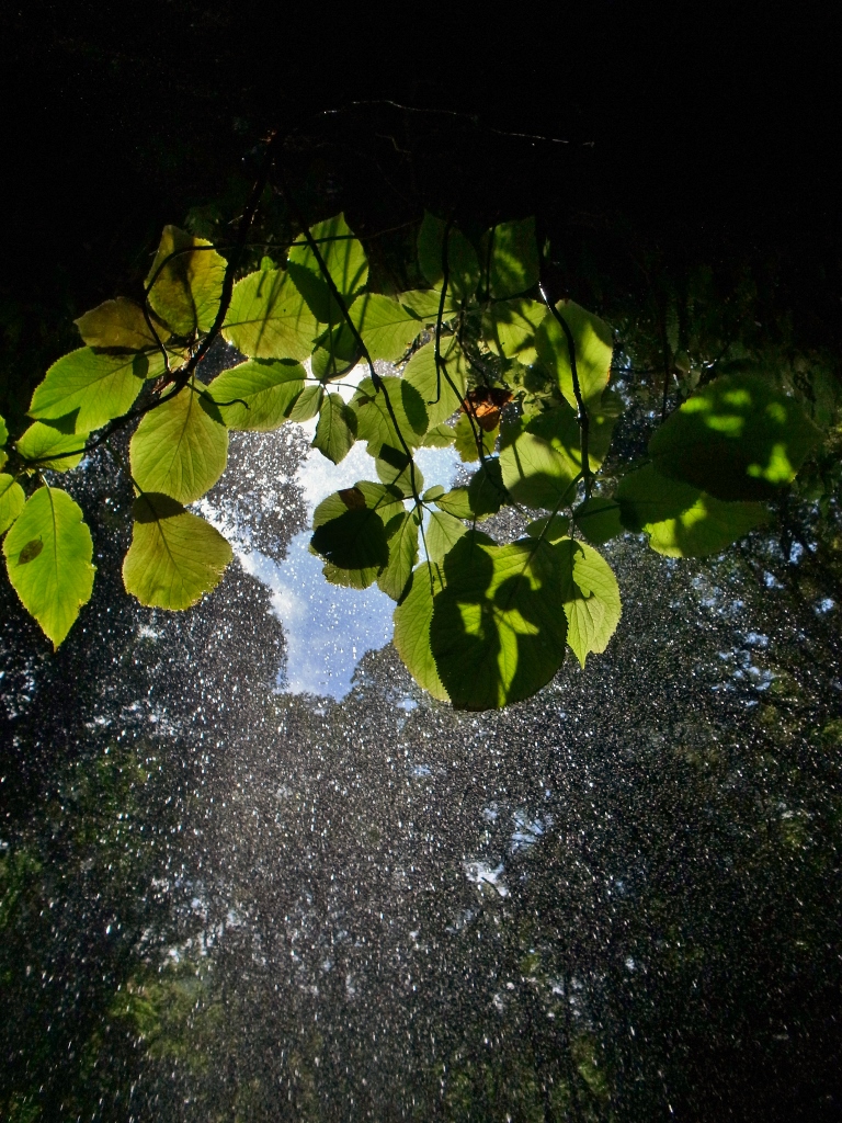 R0048910 (768x1024).jpg