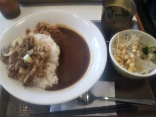 gyucurry.JPG