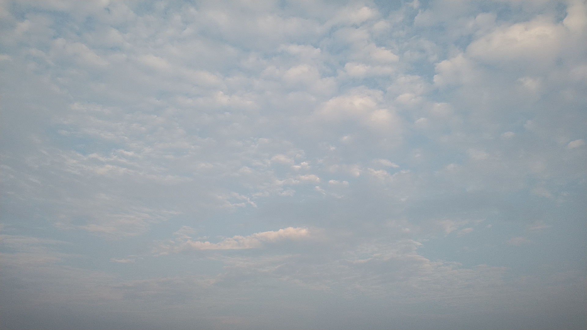 20190818  DSC_0001.jpg.jpg