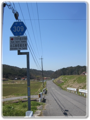 9254道標（R309小河内都志見線）_9254.jpg