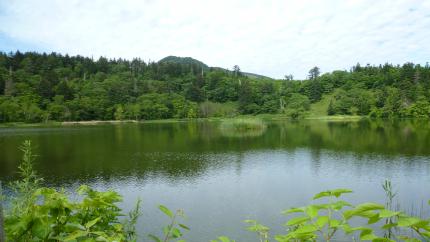 rishiri2012.7.15-himenuma-c.jpg