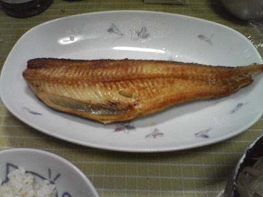 ホッケ25061602