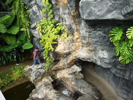 植物園８.jpg