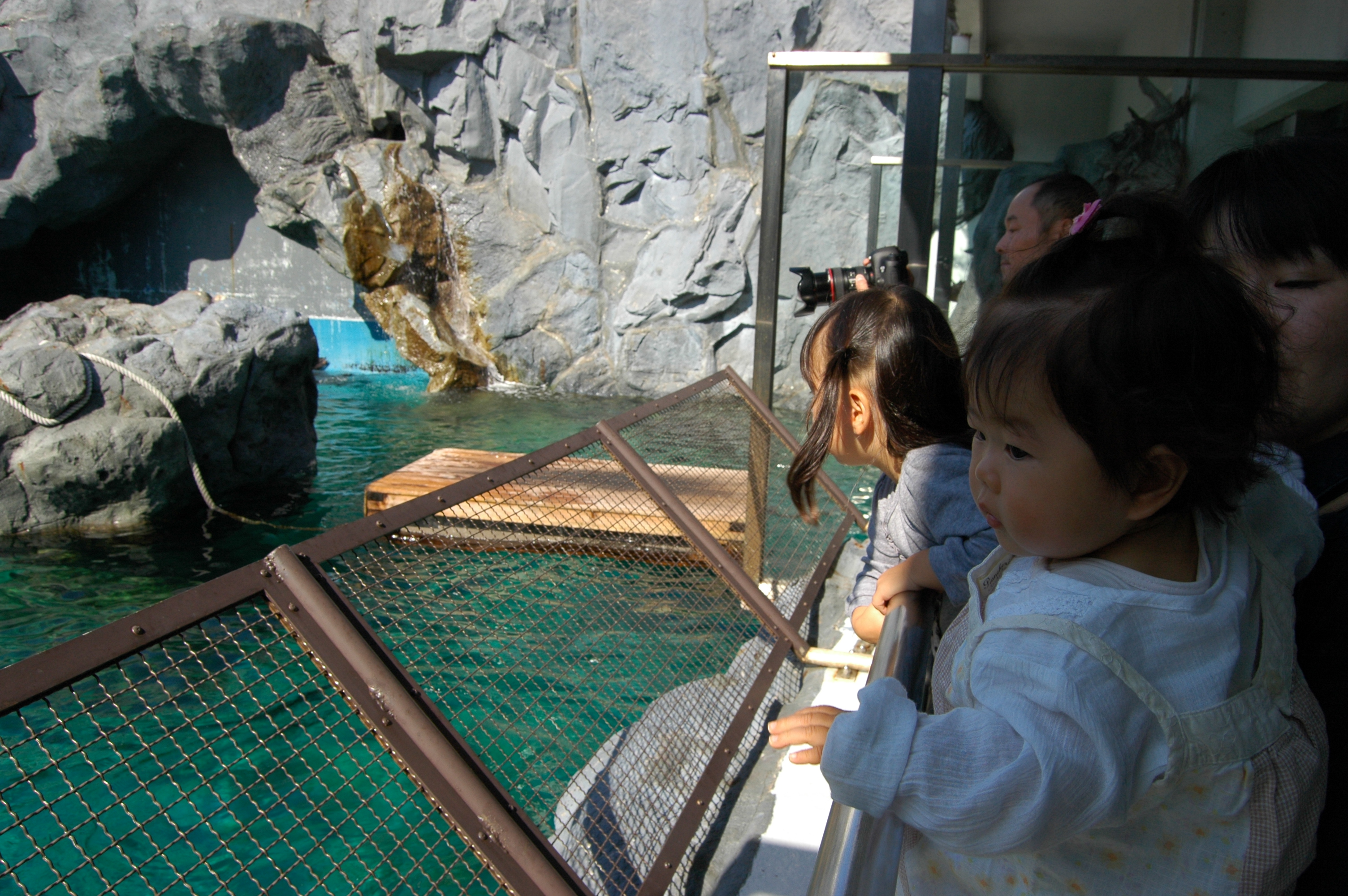 DSC_2206.JPG