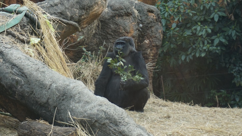 20150318 14255501.JPG