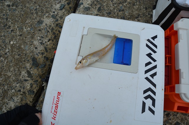 showPhoto (640×426)