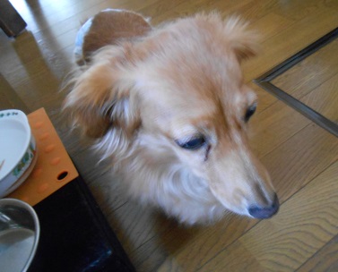 DSCN0757.JPG