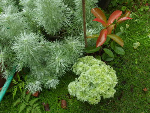 2015-06-24 08.40.21.jpg